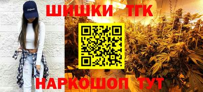 индика Заводоуковск