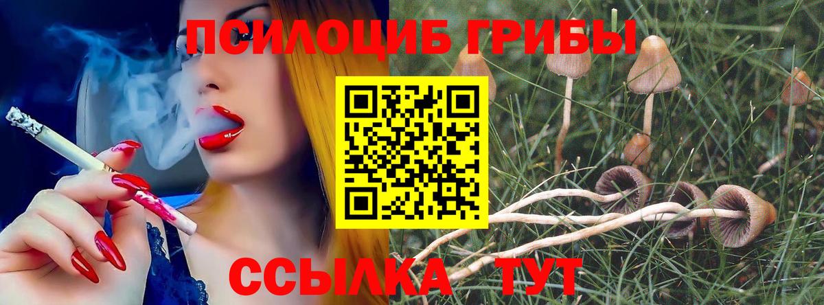 Кулебаки  Галлюциногенные грибы прущие грибы  Вход с VPN 